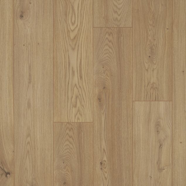 Falco Vigo Oak Top